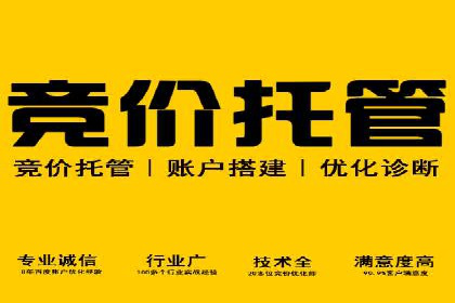 SEM优化策略：实战案例解析与优化技巧